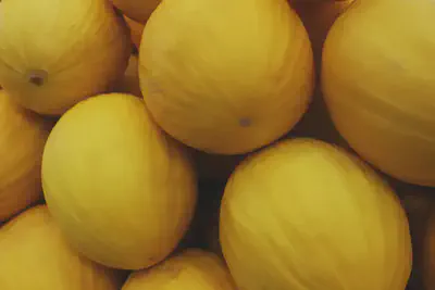 A photo of a honeydew melon