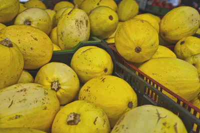 A photo of a spaghetti squash